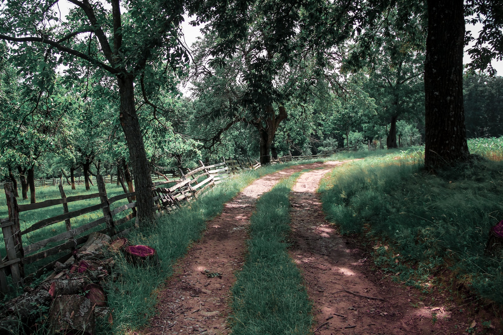 terreno-agricolo-per-glamping